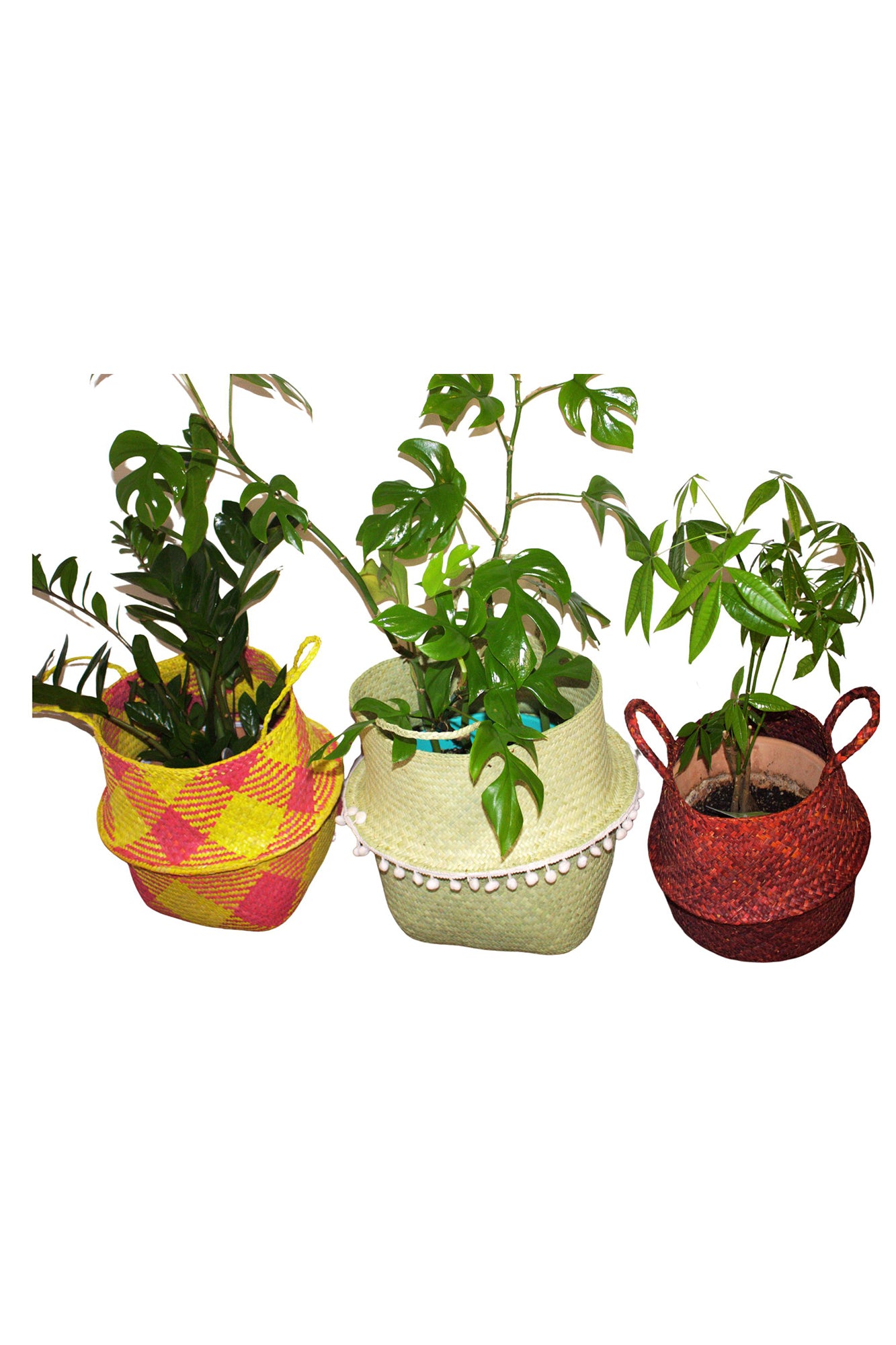 Handwoven Plant Pots