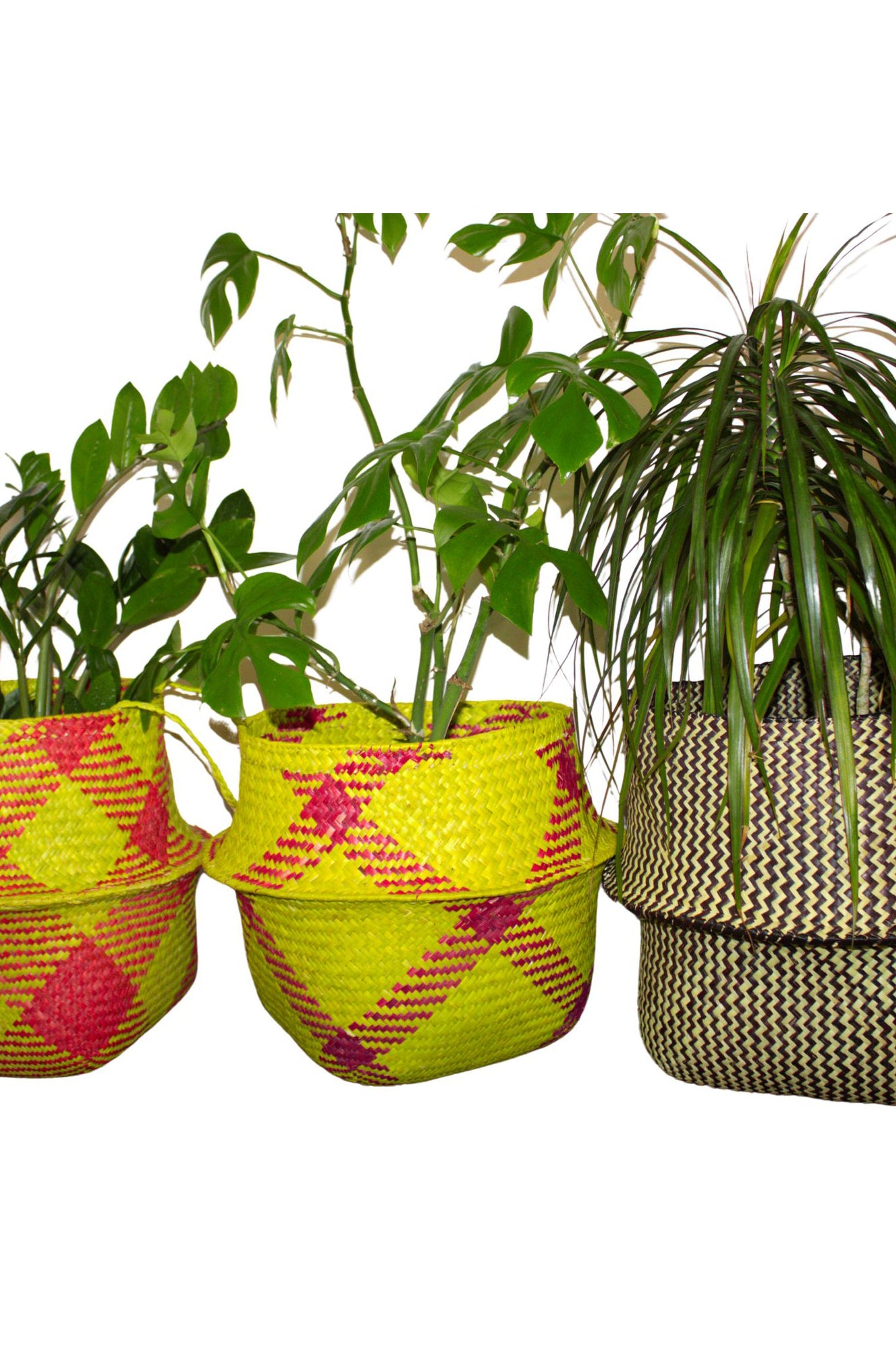 Handwoven Plant Pots